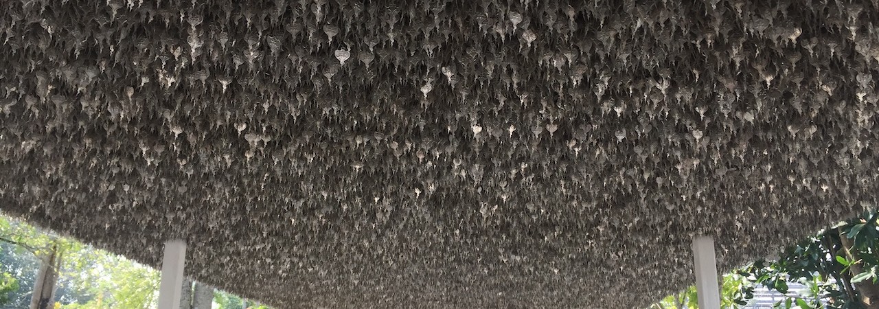 Reprehenderit sapiente ut quia et et eum quas.